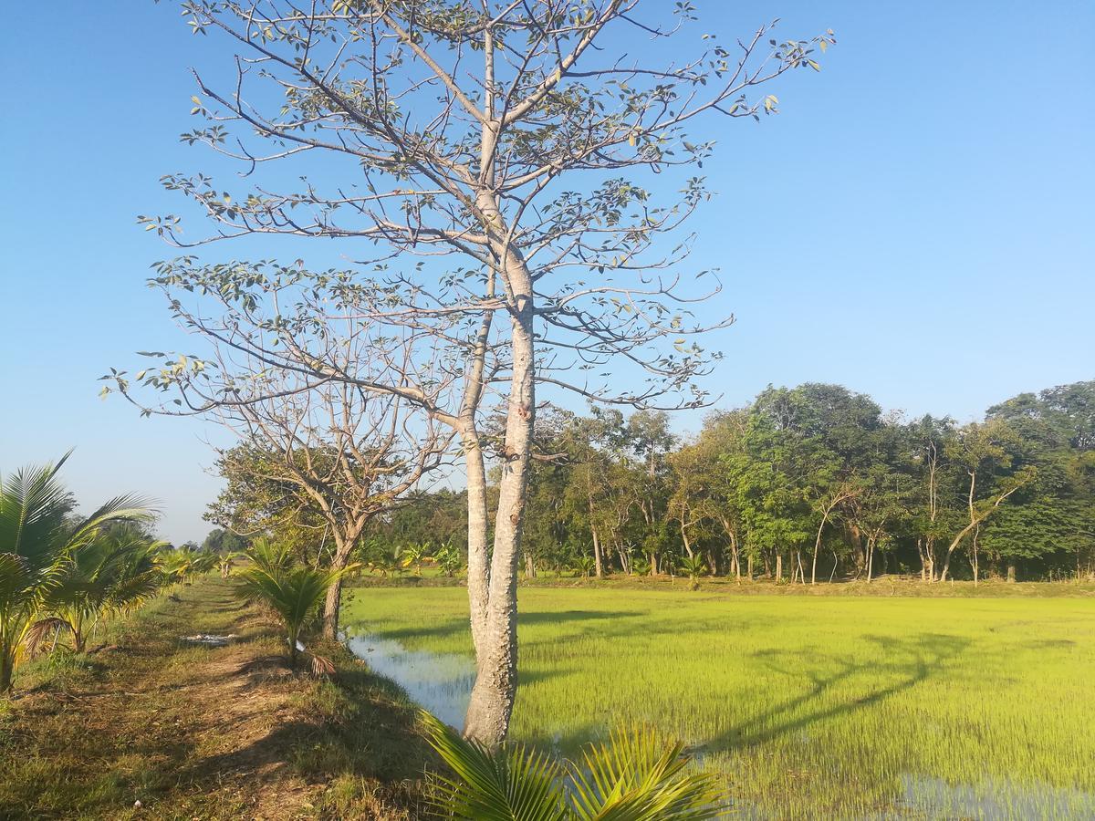 Bn Resort Ban Nong Chum Saeng Exteriör bild